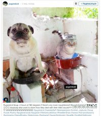 Моглибы говорить, то спросили - чё за херня происходит.