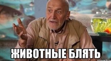 Эти свадебные платья - просто позор!