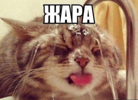 10 человек, которые уже сейчас ненавидят лето