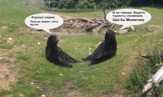 Фотоподборка за 05.07.2016