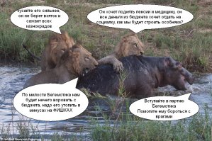 Наш ПЛАКАТ!!!