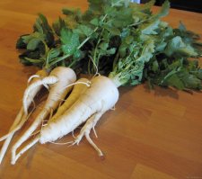 Это не петрушка. это называется - пастернак.