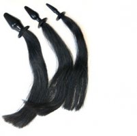 а по-моему у мишки на лапе сей девайс))