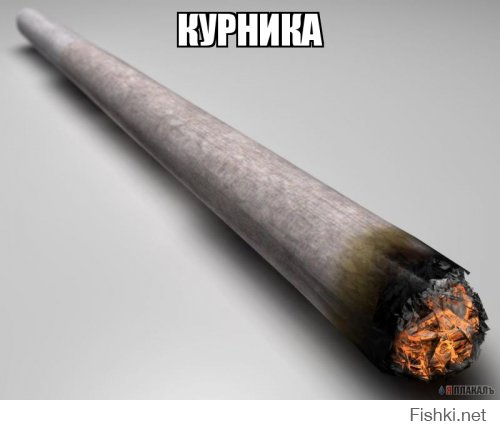 Смешные и пошлые картинки