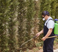 Цыганский холокост - тайный кошмар истории