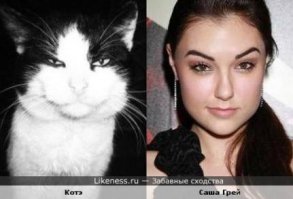 18 знаменитостей и животных, сходство между которыми потрясает
