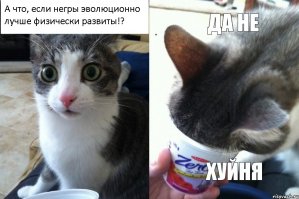 Вот и сказочке конец: как Франция обыграла Исландию