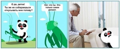 Смешные и пошлые картинки