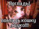 от моей только 1 фото осталось... 18 лет было... в том году закопал (((