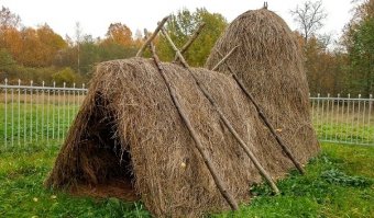 Как построить шалаш в лесу своими руками