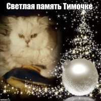 Эти трогательные прощальные снимки домашних любимцев заставят вас расплакаться