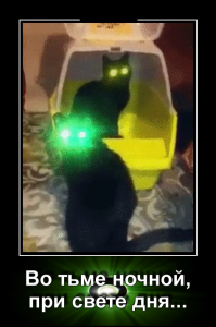 Демотиваторы 6.07.2016