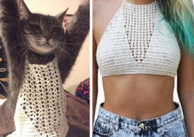 Тут больше похоже на историю, когда заказанная из интернет-магазина одежда подошла только кошке)