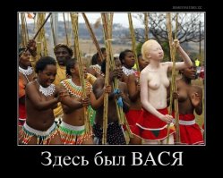 Фотоподборка 06.07.2016