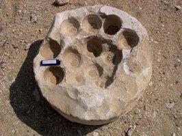 Вот следы от не полого сверла..