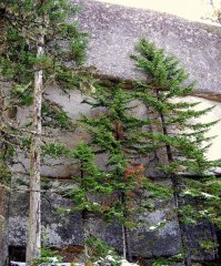 Интересно, а как эти камни таскали на мускульной силе? Вес около 20 тысяч тонн. Мегалиты Урала.