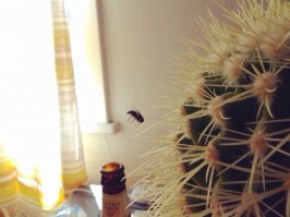 В воздухе хрен затормозишь...