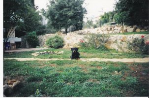 между этими фото 12 лет