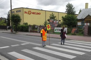 Таким же "твердолобым" как "Пофигист" (которые считают что нарушение Закона и есть закон).
Дорога через польский город Пшисуха (население чуть больше 6000).
С одной стороны дороги местная школа, калитка выходит прямо на тротуар вдоль дороги.
КАЖДОМУ ребёнку выходящему/идущему в школу, обеспечивается дополнительная защита в виде сотрудника школы который одет "с ног до головы" в специальную униформу + ещё держит в руках шест со знаком.
И это помимо того, что этот пешеходный переход оборудован ДВУМЯ знаками "пешеходный переход", один обычный, другой дополнительно информирующий о основном контингенте - детях.
Ссылка на гуглопанорамы (можно осмотреться вокруг):


P.S.
фото сделано несколько лет назад, делали непродолжительную остановку, сходили за водой/продуктами в магазин который виден на заднем плане (Солнышко).