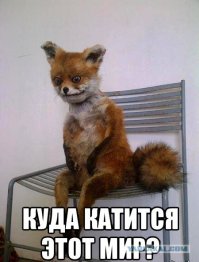 Шок: австралиец женился на резиновой кукле!