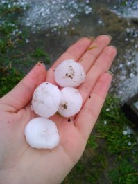 Фотоподборка за 07.07.2016