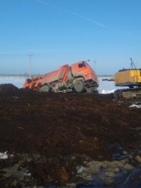 Фотоподборка за 07.07.2016