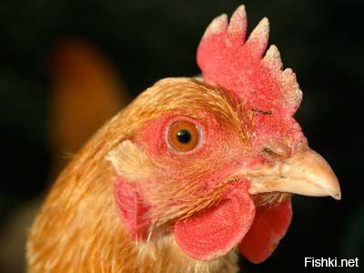 Чем она вообще думала. 28 лет писец.