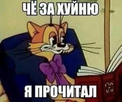 19 признаков того, что немецкий язык просто издевается над нами