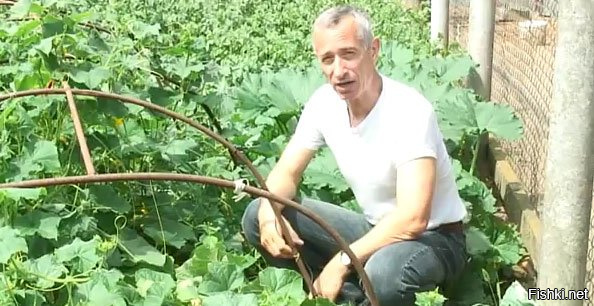 Извините, навеяло.
Ну вы поняли.