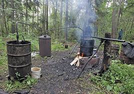 В Беловежской Пуще живут не только звери!