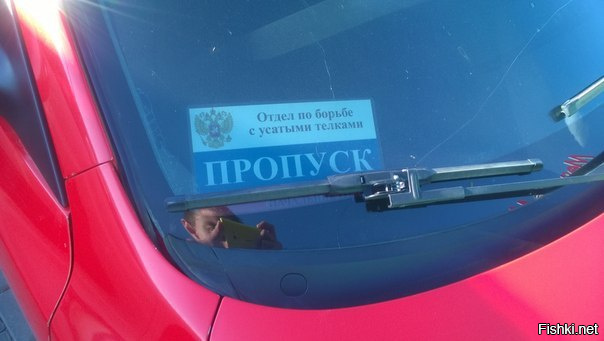 Фотоподборка за 07.07.2016
