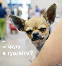 Опасный водила на Матизе