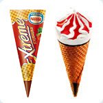 5 диких животных, которых можно держать дома