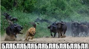 Бывает и похлеще )