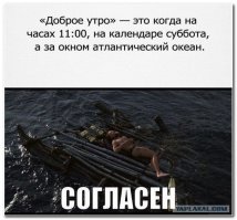 Комментарии из соц.сетей