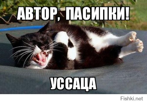 55 смешных причин, почему не стоит оставлять детей с папой