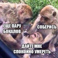 Пятничный пазитиффчик