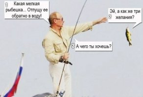 Самая дорогая рыба в мире. Топ 10