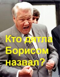 История спасения птенца дятла