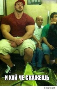 Сильнейшие пауэрлифтеры России