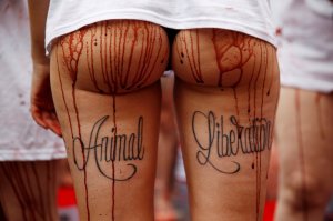 Хороша испанская попка