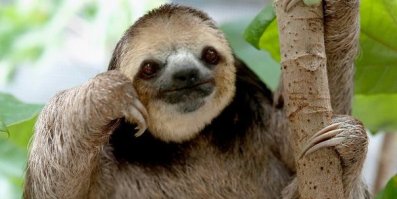 надо рад этим подумать