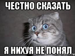 Реальность, какой вы ее никогда не видели!