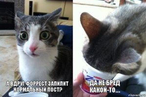 Три слепых кота
