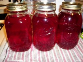 Лекарственные растения России