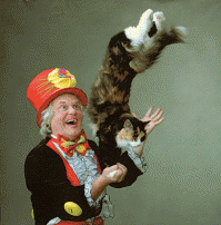 Нельзя говорите?