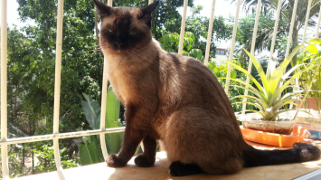 кто поспорит что это не граф!