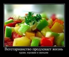 "Чумное мясо и глютеновые геи". Мифы, которыми пугают сыроеды