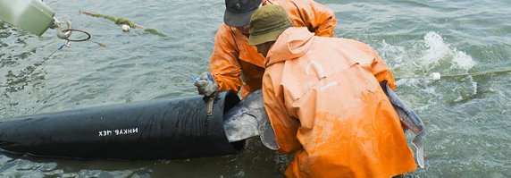 П.И.З.Д.А.Б.О.Л ХОХЛЯТСКИЙ 
Астраханский рыбокомбинат , ООО

Почтовый адрес: Россия, Астраханская область, г. Астрахань, ул. Августовская, 1
Страна: Россия
Регион: Астраханская область
Телефон: +7 (495) 564–72–60
Телефон: +7 (8512) 25–90–23
Описание
с 08-00 до 17-00 пн-пт обед с 12-00 до 13-00 OOO "Новопромысловский рыбокомбинат" (OOO НПРК) - это крупнейший полносистемный прудовый комплекс. Имеется живорыбная база, зимовальные пруды. Подъездные пути в хорошем состоянии. OOO "Новопромысловский рыбокомбинат" является крупнейшим предприятием не только в России, но и в Европе. Площадь водяного зеркала 4250 га.

Основным видом деятельности OOO "НПРК" является производство товарной рыбы, рыбопосадочного материала и реализация рыбы юридическим лицам и населению, в т.ч. автотранспортом предприятия.