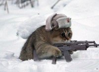 Партизаны мы...